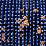Bag-A-Nut Small Acorn Picker Upper – 36×22 Push Collector