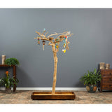 Prevue Pet Products Coffeawood Tree Style #2 Floor Stand Small