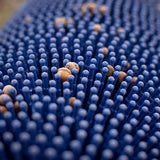 Bag-A-Nut Small Acorn Picker Upper – 36×22 Push Collector