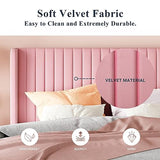 Allewie Queen Size Velvet Bed Frame/Vertical Channel Tufted Wingback Headboard/Upholstered Platform Bed/Strong Wooden Slats/No Box Spring Needed/Easy Assembly/Black